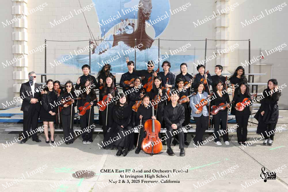 Musical Images